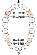 保険が適用される場所